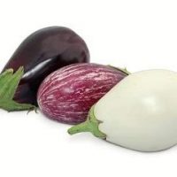 Aubergine mélange (FdC) - 1pc