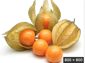 physalis (50g) - FDC